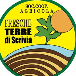 Cooperativa Fresche Terre di Scrivia, Castelnuovo Scrivia orari di apertura