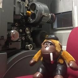 Cinecircolo L'incontro - Suburbana, Collegno orari di apertura