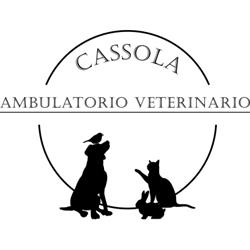 Ambulatorio Veterinario Cassola, San Zeno orari di apertura