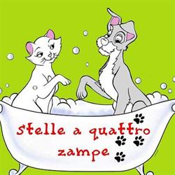 Stelle a 4 Zampe - Toelettatura - Pet Food - Alimentazione per Cani - Collari, Lamezia Terme orari di apertura