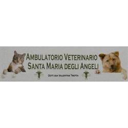 Ambulatorio Veterinario Santa Maria Degli Angeli, Nocera Inferiore orari di apertura