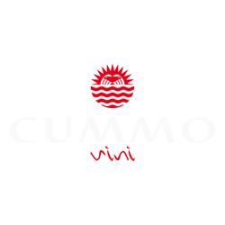 Cummo Vini, Naro orari di apertura