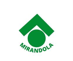 Affiliato Tecnocasa Agenzia Mirandola Casa S.r.l., orari di apertura
