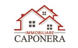 Immobiliare Caponera, Sgurgola orari di apertura