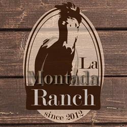 La Montada Ranch A.S.D., Suzzara orari di apertura