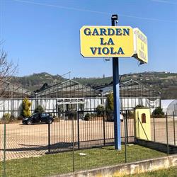 Azienda Agricola La Viola, Cherasco orari di apertura