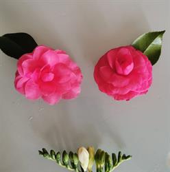La Camelia d'Oro, Oggebbio orari di apertura