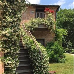Agriturismo Ca' Sagredo Toderini, Conselve, orari di apertura