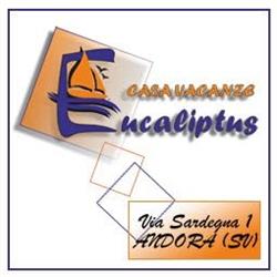 Eucaliptus, Andora orari di apertura