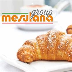 MESULANA GROUP SRL, Azzano Decimo orari di apertura