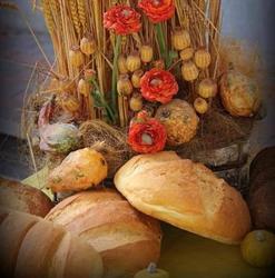 Pane Dolce E Fantasia di Brucchietti Manuela, Casale orari di apertura