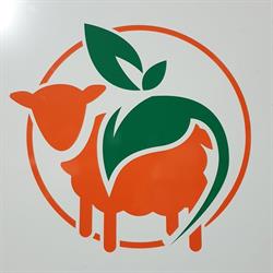 AGRICOLA FENU di Fenu Giuseppe, Domusnovas orari di apertura