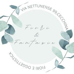 Fiori e fantasie Albano Laziale, Cecchina - Orari di apertura