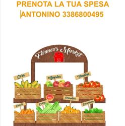 Aranceto Storico Sorrentino, Piano di Sorrento orari di apertura