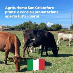Azienda Agricola San Cristoforo, Massa orari di apertura