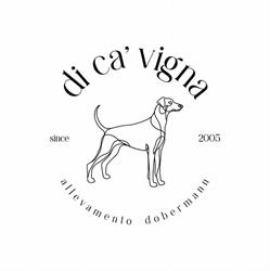 Dobermann Di Cá Vigna, Roncade orari di apertura