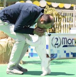 Cavalierejack Jrt, Bagnara orari di apertura