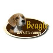 Beagle dei Sette Campi, Sant'Anastasia orari di apertura