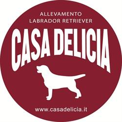 Casa Delicia Allevamento Labrador, Resana orari di apertura