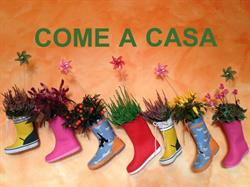 Asilo nido "Come a casa", Trieste orari di apertura