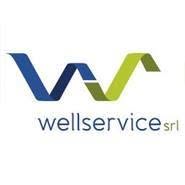 Wellservice Srl, Paderno Dugnano orari di apertura