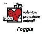 Volontari Protezione Animali Foggia, orari di apertura