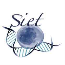 Società Italiana di Embryo Transfer, Manerbio orari di apertura