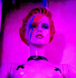 Ziggy Club, Torino orari di apertura