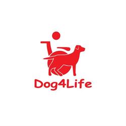 Dog4Life ETS, Meda orari di apertura