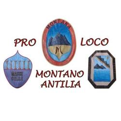 Pro Loco A.P.S. Montano Antilia, orari di apertura