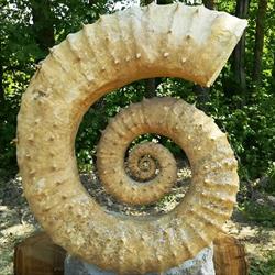 GEA - Il Giardino del Tempo, Giovecca orari di apertura