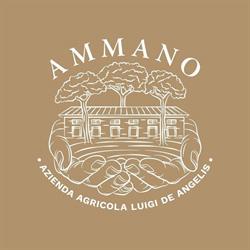 Ammano, Fiumicino orari di apertura