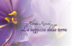 Az. Agr. LA SAGGEZZA DELLA TERRA, Monselice orari di apertura