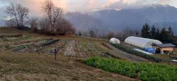 Az. agricola Orto Campo, Castione della Presolana orari di apertura