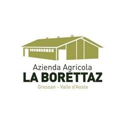 Azienda agricola La Borettaz, Gressan orari di apertura