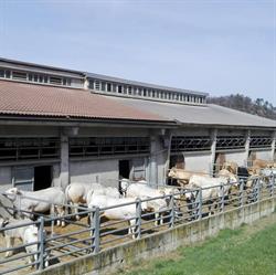 Cascina Nuova, Cremolino orari di apertura