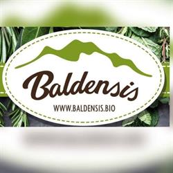 Baldensis, Brentonico orari di apertura
