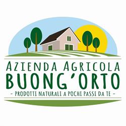 Buong'orto, Viareggio orari di apertura