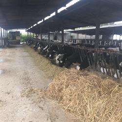 Azienda Agricola Galenda, Latina orari di apertura