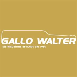 Gallo Walter S. R. L., Cervignano del Friuli orari di apertura