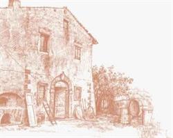 Minardi Historic Winery Tours, Frascati orari di apertura