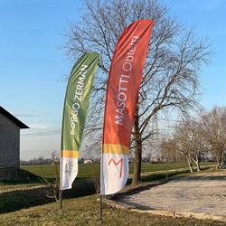 Azienda Agricola Borgo Verde, Mogliano Veneto orari di apertura