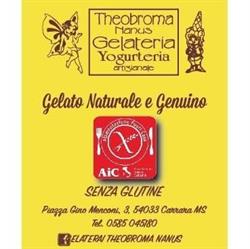 Theobroma Nanus, Carrara orari di apertura