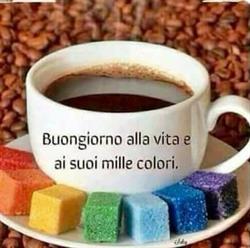 Caffè Store, Savignano sul Rubicone orari di apertura