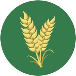 Lepore & Farine, Capua orari di apertura