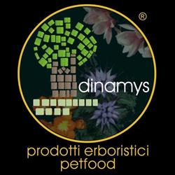 DINAMYS SAS, Cervia orari di apertura