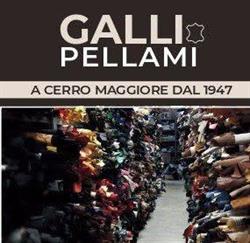 Galli Pellami e articoli per calzature, Cerro Maggiore orari di apertura