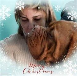 Scooby Snoopy Toelettatura, Guspini orari di apertura