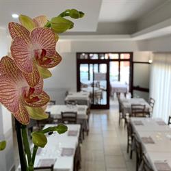 Pizzeria La Padellaccia, Pabillonis orari di apertura