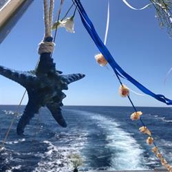 Wedding Lampedusa ci vado a nozze, orari di apertura